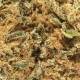 Fleurs White CBG BIO, pas cher