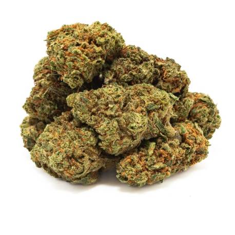  Fleurs CBD greenhouse Strawberry Kush, pas cher 