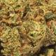  Fleur de CBD Strawberry Kush, qualité & prix 