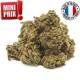 White Widow Small Buds greenhouse - 1