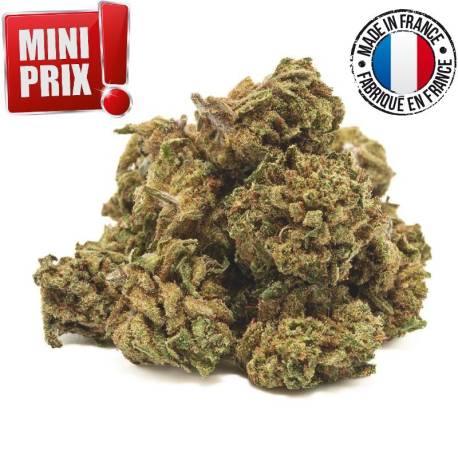 White Widow Small Buds greenhouse - 1