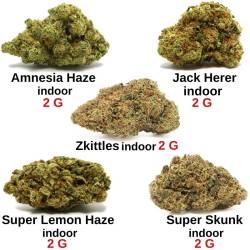 Pack notre sélection 10 g - fleurs de CBD
