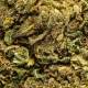Fleur CBD greenhouse Bubba Kush, pas cher