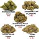 Pack notre sélection fleurs de CBD, qualité & prix