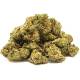Small Bud, fleur de CBD Mango Haze indoor 