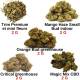 Fleurs de CBD, pack discount - CBD pas cher