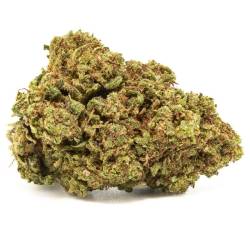 Fleurs de CBD Amnesia, CBD pas cher