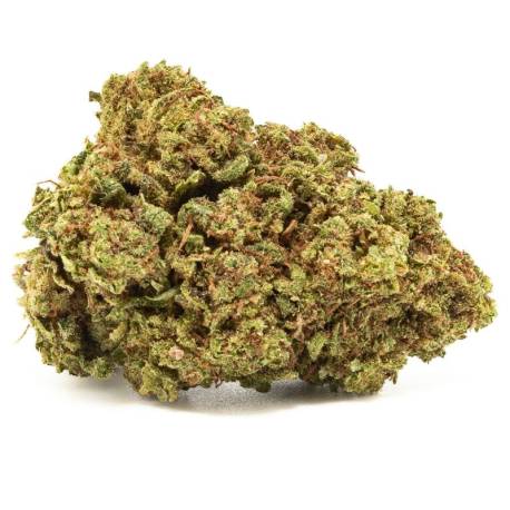 Fleurs de CBD Amnesia, CBD pas cher