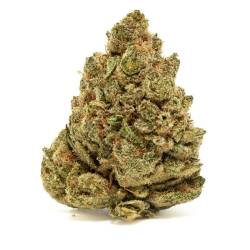 Fleur CBD puissante Jack Herer