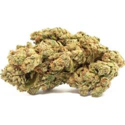 Fleur de CBD puissante Silver Haze 