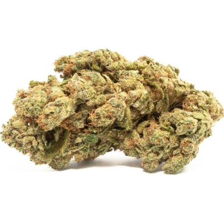 Fleur de CBD puissante Silver Haze 