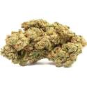 Silver Haze indoor