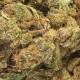 Fleur de CBD Silver Haze, qualité & prix 