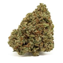 Fleurs de CBD puissantes Critical Haze 