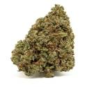 Critical Haze indoor
