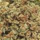 Fleurs CBD Critical Haze, qualité & prix 