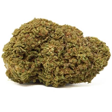 Fleur CBD Mango Kush indoor - My Shop CBD