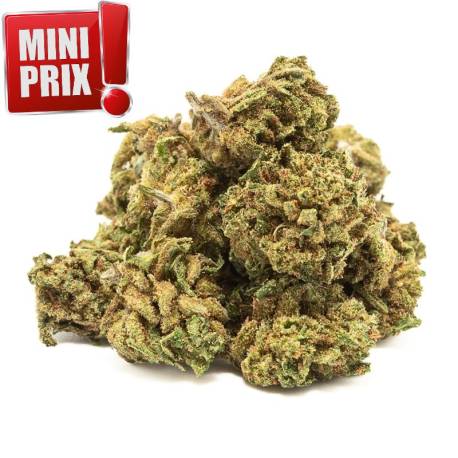 Fleurs de CBD White Widow Small Buds, pas cher