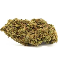  Fleur de CBD pas chère Orange Kush