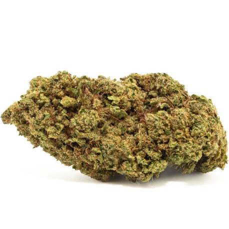  Fleur de CBD pas chère Orange Kush