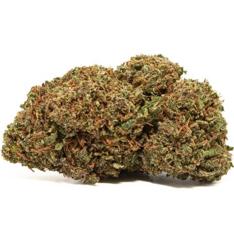 Fleur de CBD Lemon Haze, qualité & prix 