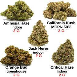 Pack notre sélection 10 g - fleurs de CBD