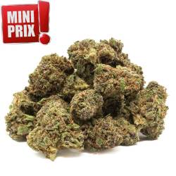 Small Buds, fleurs de CBD Lemon Haze 