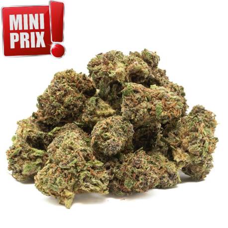 Small Buds, fleurs de CBD Lemon Haze 