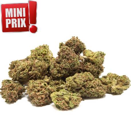 Small Buds, fleurs de CBD Blueberry 