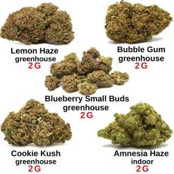 Pack découverte 10 g - Fleurs de CBD