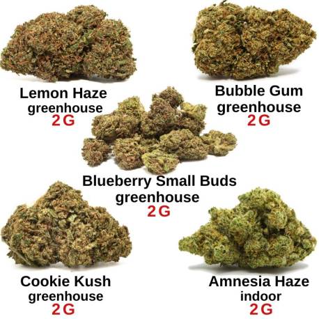 Pack découverte CBD - Fleurs de CBD pas chères