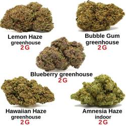 Pack découverte CBD - Fleurs de CBD pas chères