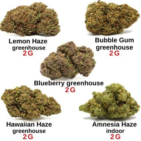 Pack découverte CBD - Fleurs de CBD pas chères