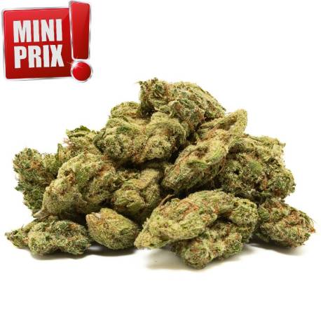 Fleur CBD puissante Jack Herer small buds