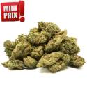 Jack Herer Small Buds indoor