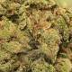 Fleurs CBD Jack Herer, CBD pas cher et puissant