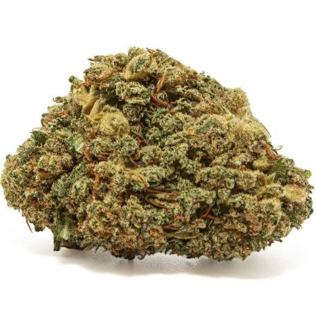 Fleur CBD Kush’n Haze Indoor aux arômes fruités et floraux 