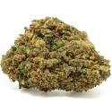 Kush’n Haze indoor