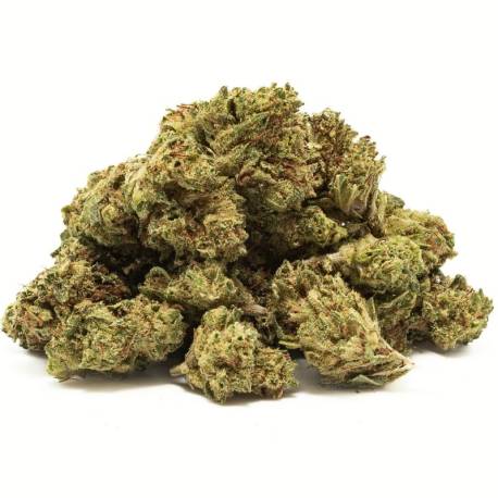 Gorilla Glue Small Buds greenhouse fleur CBD