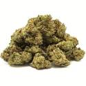 Gorilla Glue Small Buds greenhouse