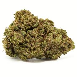 Fleurs de CBD Amnesia, CBD pas cher