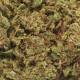 Fleur de CBD greenhouse Amnesia, pas cher