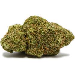  Fleur de CBD indoor OG Kush, pas cher
