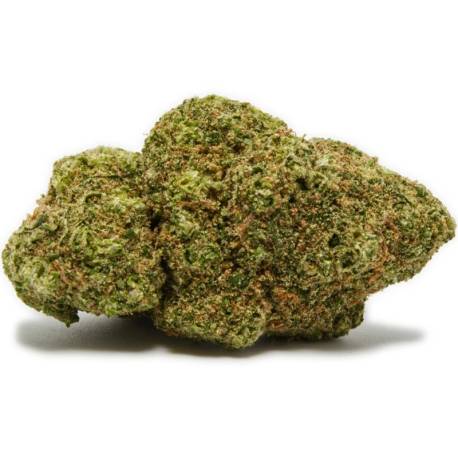  Fleur de CBD indoor OG Kush, pas cher