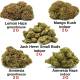 Pack découverte CBD - Fleurs de CBD pas chères