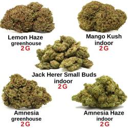 Pack découverte 10 g - Fleurs de CBD