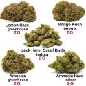 Pack découverte 10 g - Fleurs de CBD