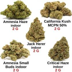 Pack notre sélection 10 g - fleurs de CBD