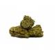 Les fleurs de CBD White Widow