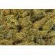 Les fleurs de CBD White Widow